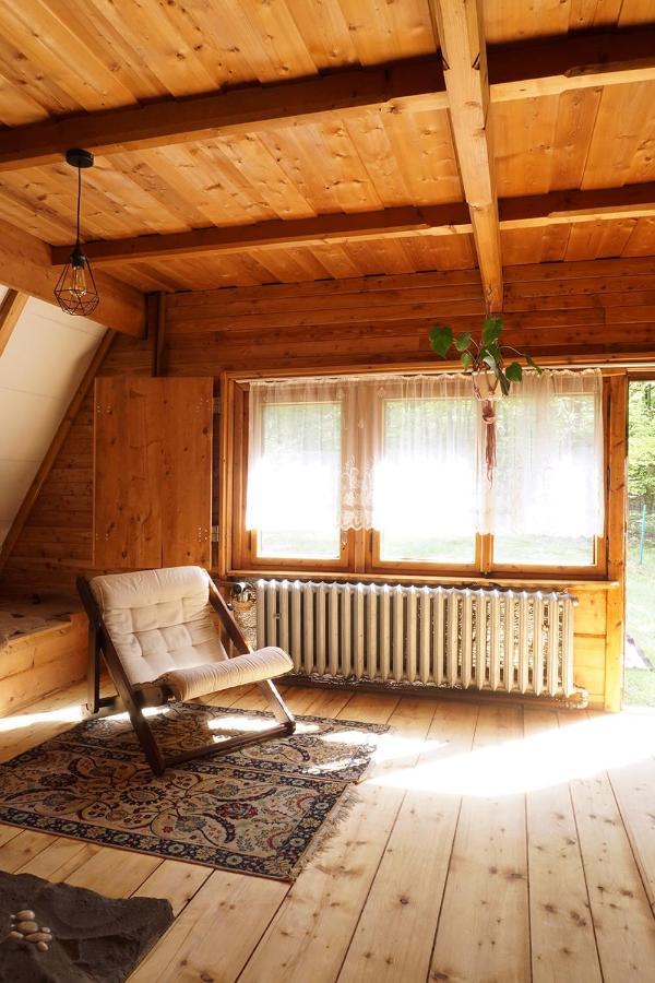 Villa Kosarzowka à Bielsko-Biała Extérieur photo
