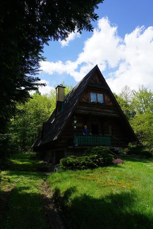 Villa Kosarzowka à Bielsko-Biała Extérieur photo
