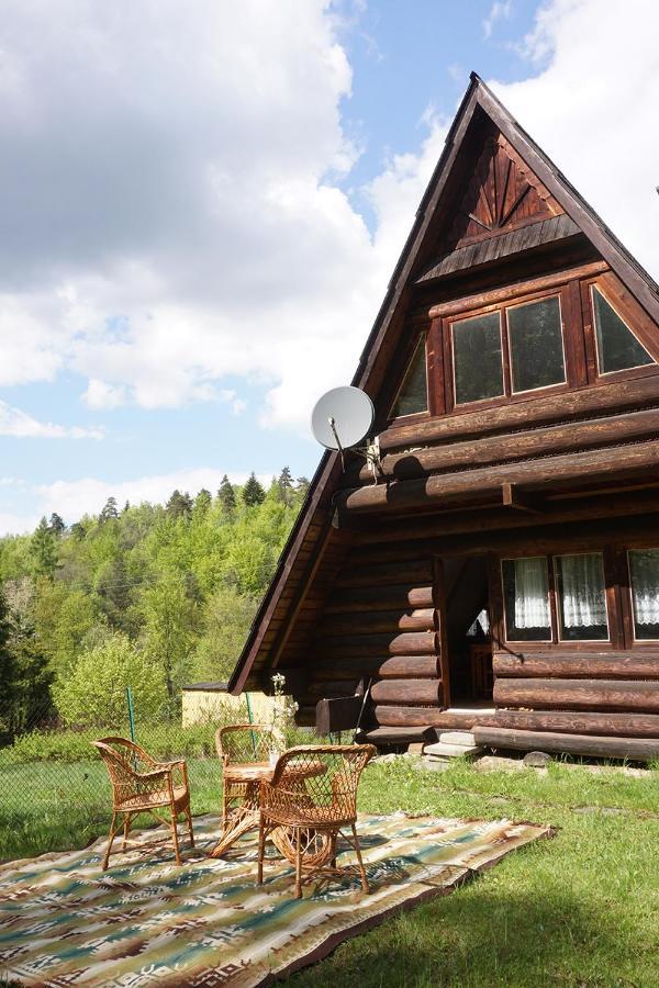 Villa Kosarzowka à Bielsko-Biała Extérieur photo