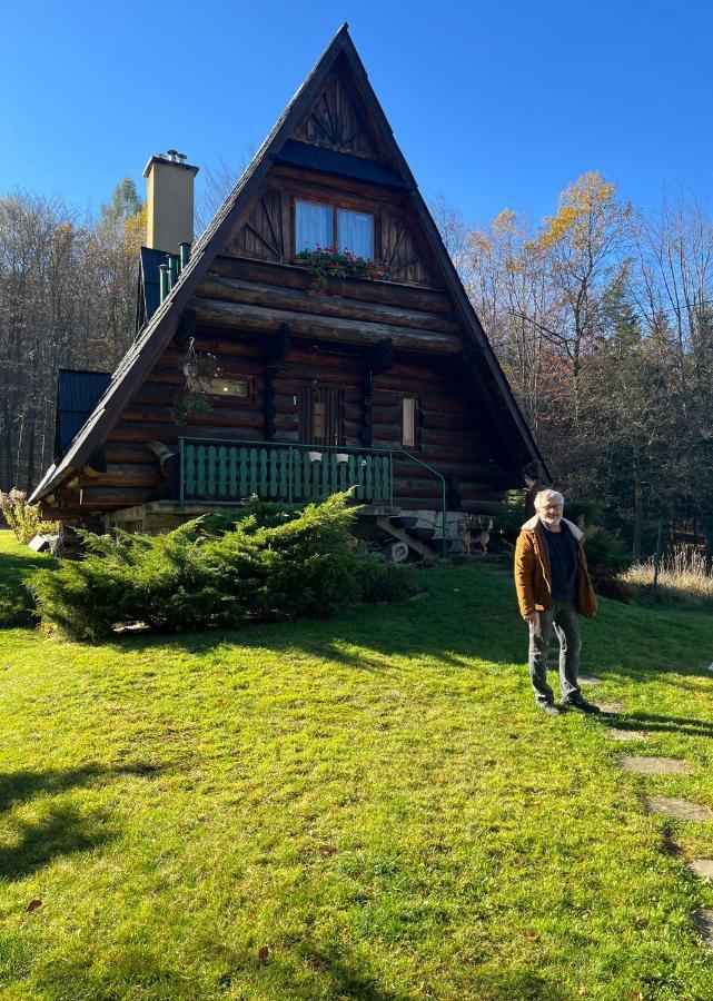 Villa Kosarzowka à Bielsko-Biała Extérieur photo